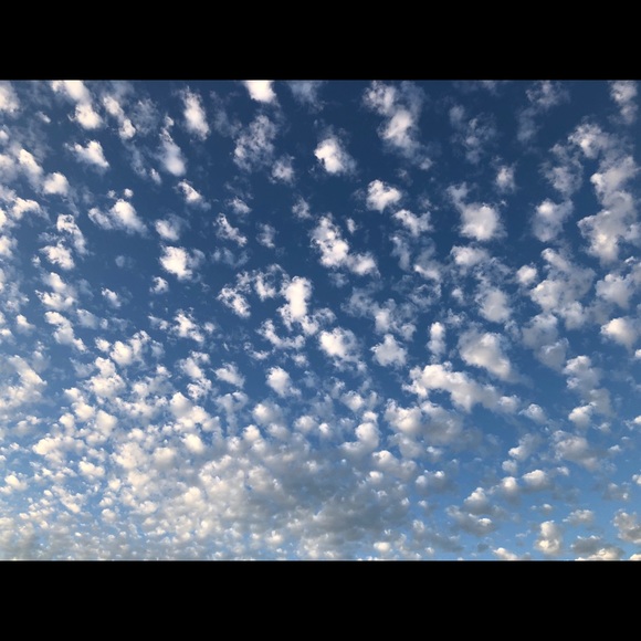 Meet your Posher, Andrea - Picture 1 of 1